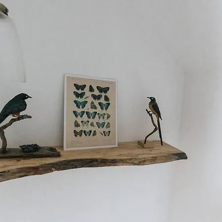 Unique In The Heart Of Feriehus Ulverston